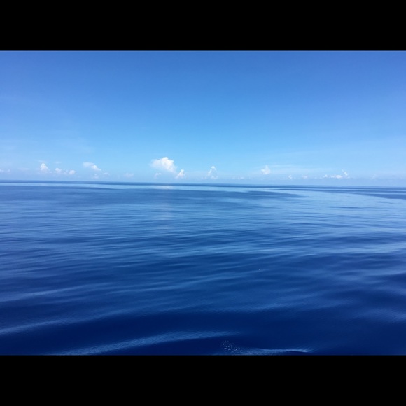 oceandance31